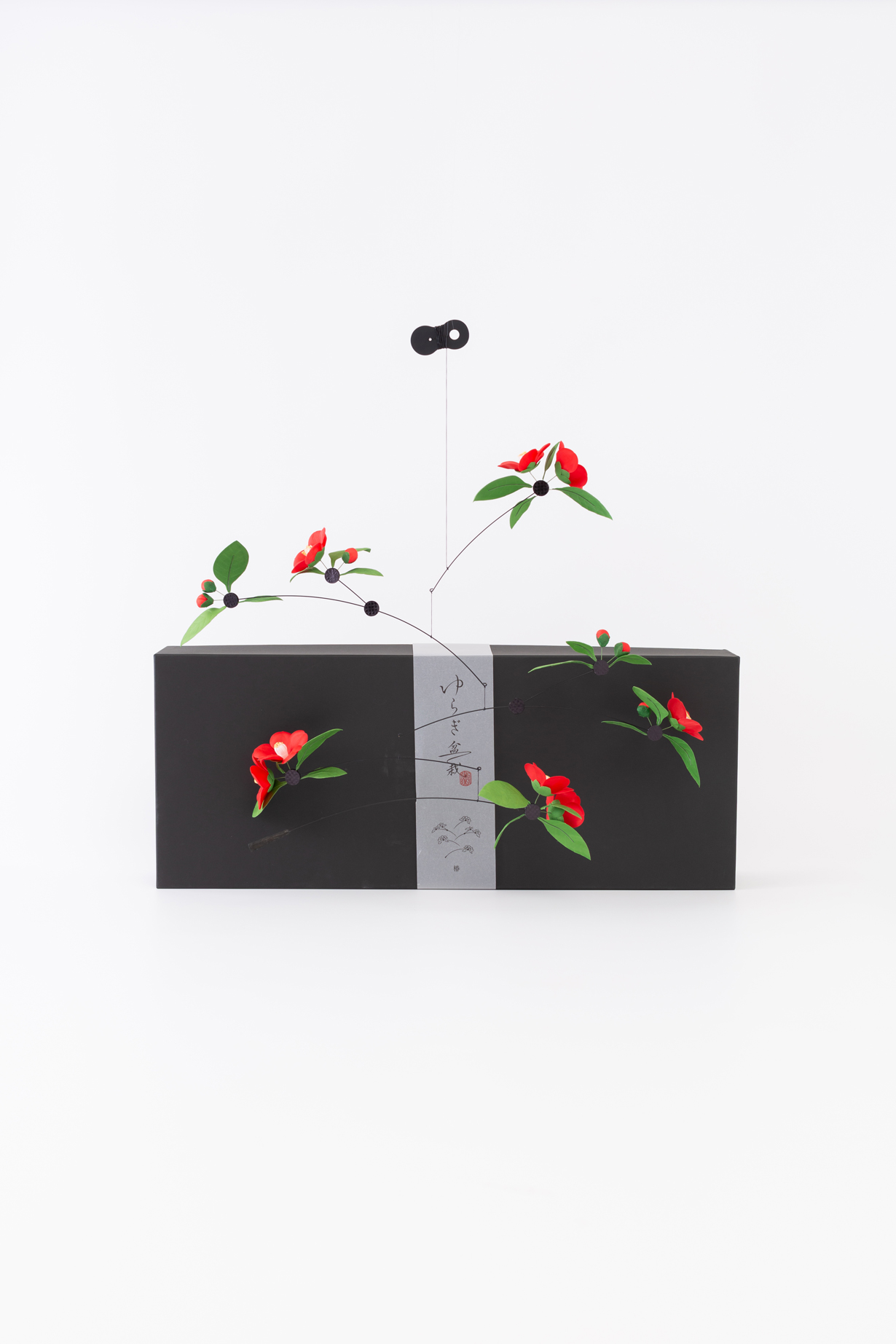 Camellia(with box)