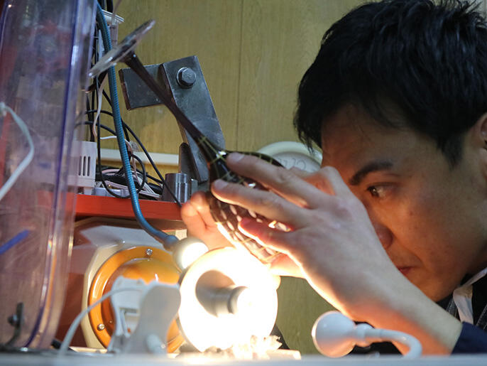 Image:Edokiriko's Shop Hanashyo