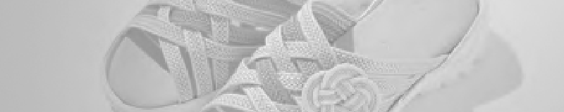 バナー画像「開発商品検索」