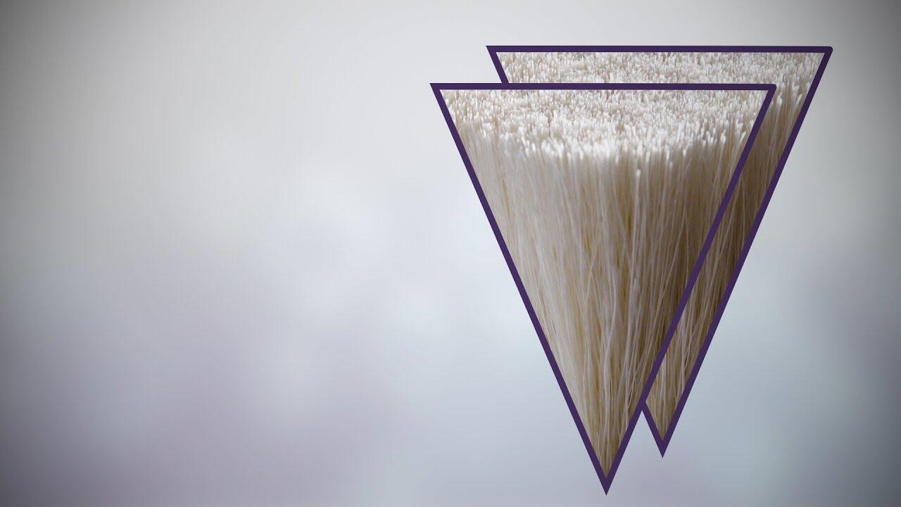 画像：この毛、何の毛？ 