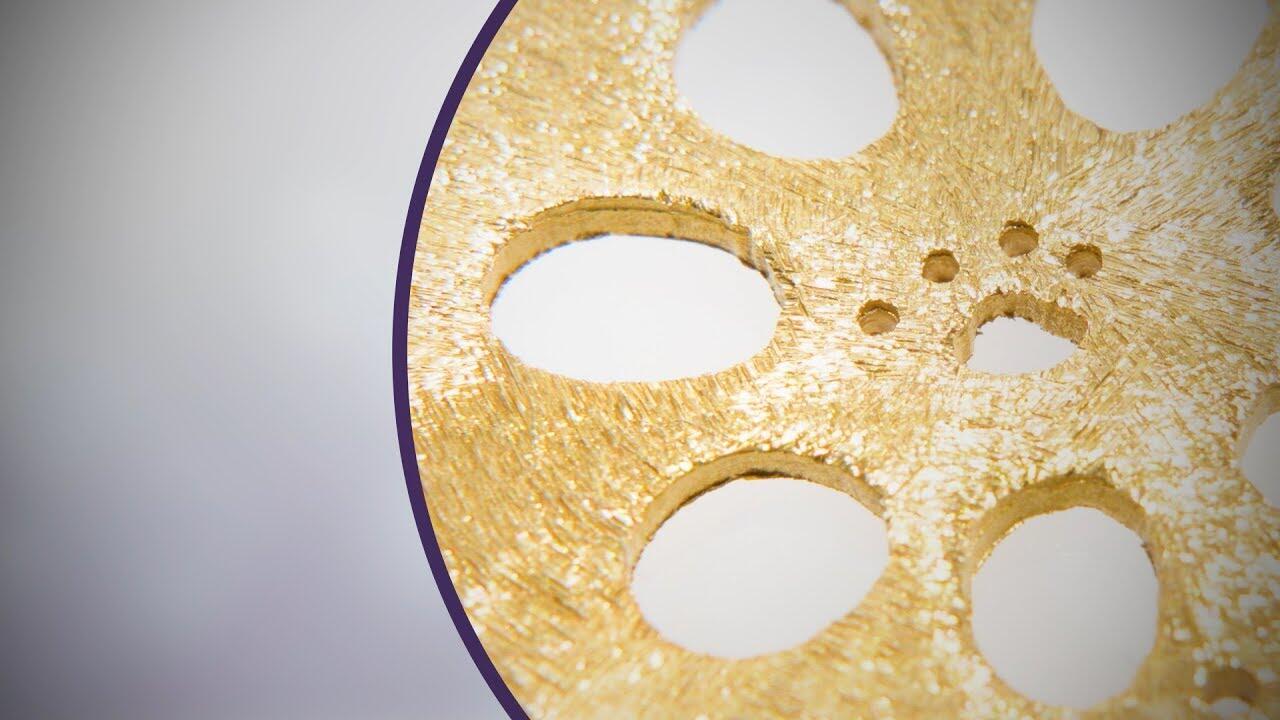 画像：野菜に肉球！？ 