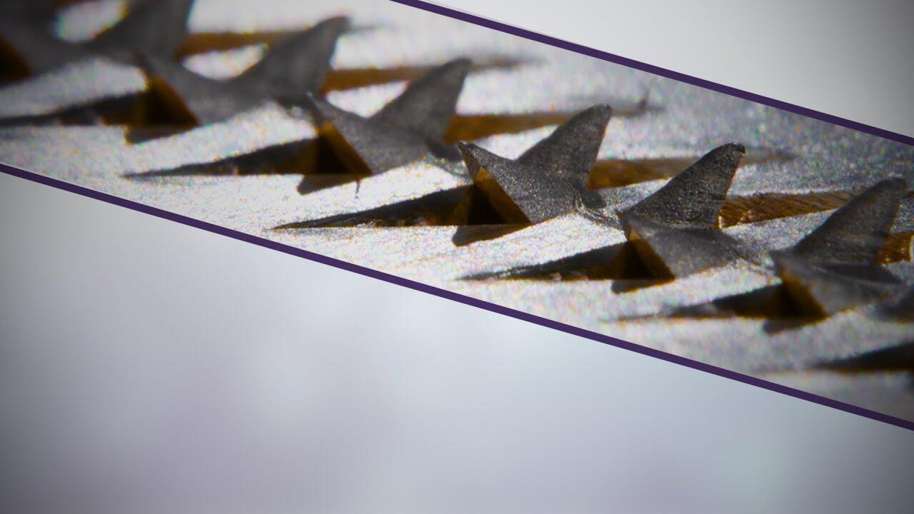 画像：ふわふわの大根おろし、食べたことありますか？ 