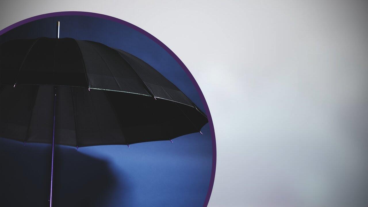 画像：発色チタン軽量16本骨傘（モンブラン） 